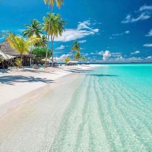 Meet your Posher, Jade